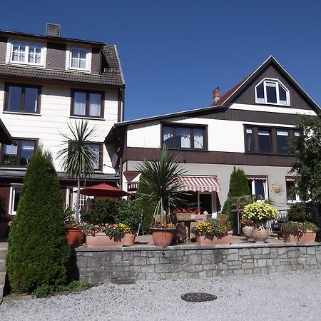 Pension Waldhof Trautenstein Eksteriør billede