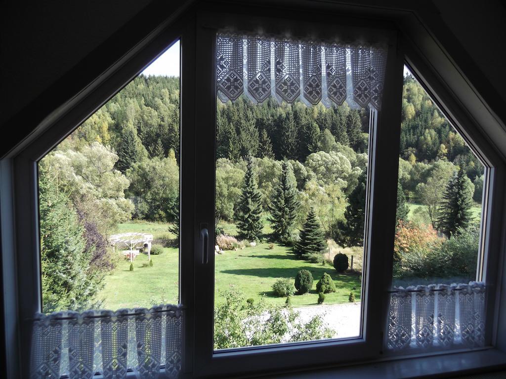Pension Waldhof Trautenstein Værelse billede